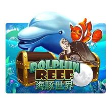 Joker123 : Dolphin Reef - SPACEMANSLOT88